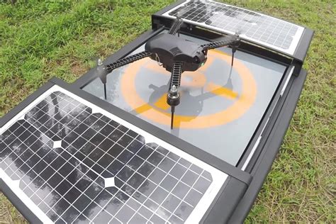 selfnest platforma